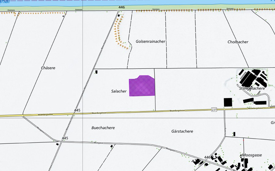 Landeskarte swisstopo mit dem Schutzperimeter von Stängelacher (Amphibienlaichgebiet)