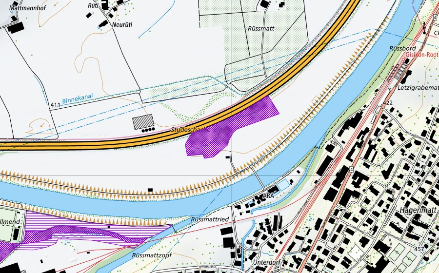 Landeskarte swisstopo mit dem Schutzperimeter von Staudenschachen Südarm (Amphibienlaichgebiet)