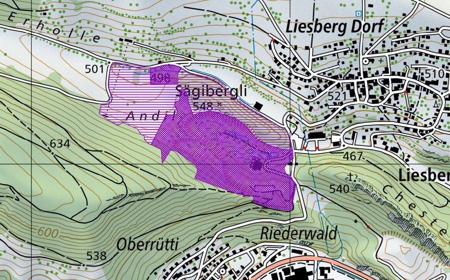 Carte nationale swisstopo avec le périmètre protégé de Steinbruch Andil (Site de reproduction de batraciens)