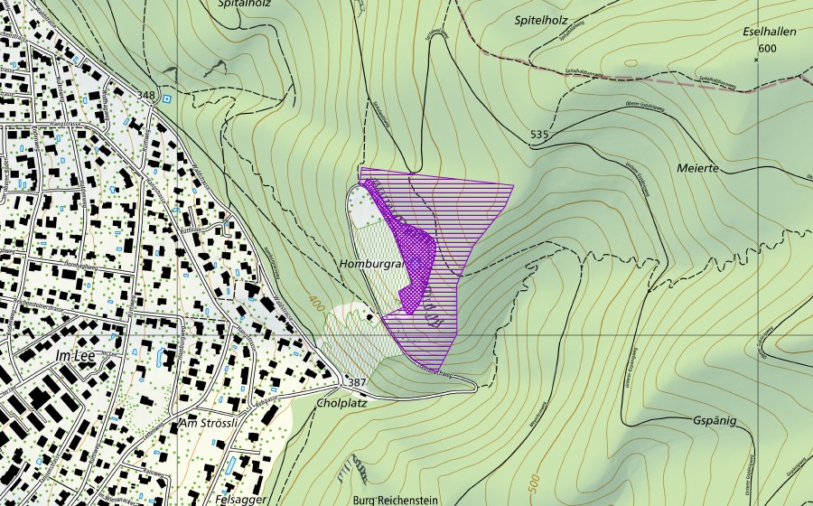 swisstopo national map showing the protected perimeter of Steinbruch Arlesheim (Amphibian spawning site)
