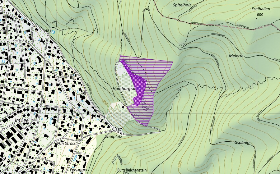 swisstopo national map showing the protected perimeter of Steinbruch Arlesheim (Amphibian spawning site)