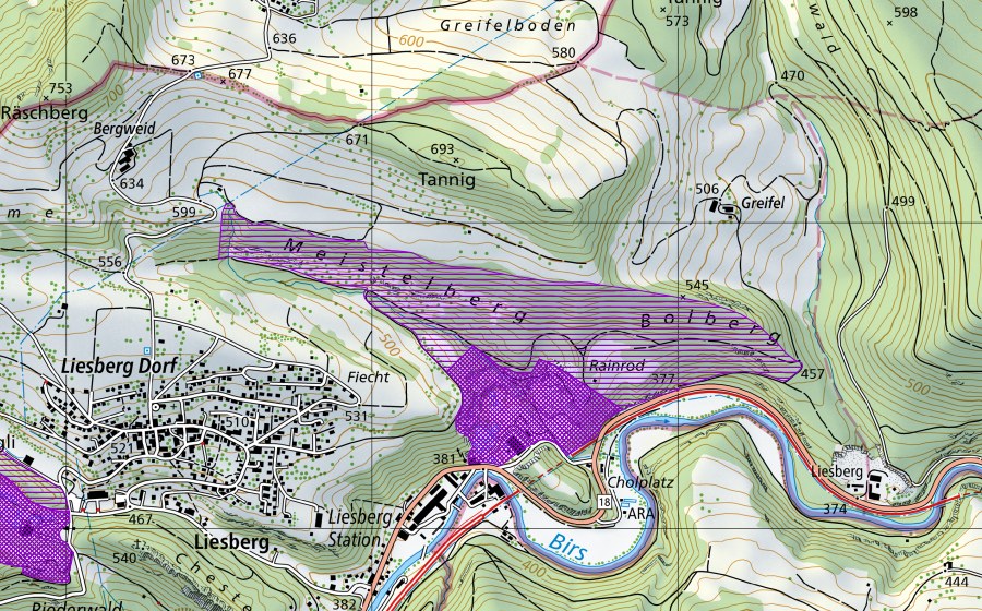 Landeskarte swisstopo mit dem Schutzperimeter von Steingrube Bohlberg (Amphibienlaichgebiet)