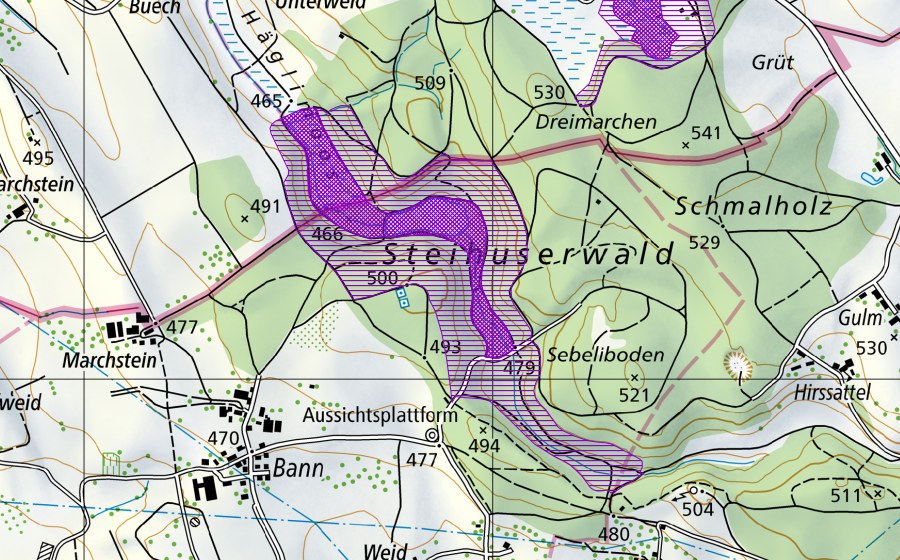 swisstopo national map showing the protected perimeter of Steinhauser Weiher (Amphibian spawning site)