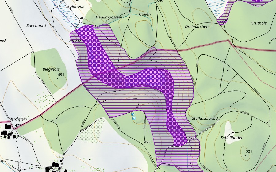 swisstopo national map showing the protected perimeter of Steinhauser Weiher (Amphibian spawning site)