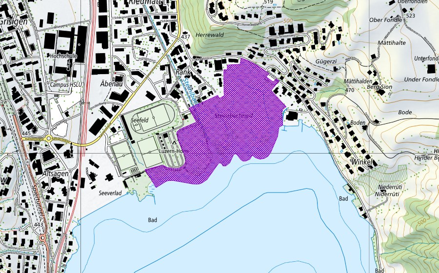 swisstopo national map showing the protected perimeter of Steinibachried (Amphibian spawning site)