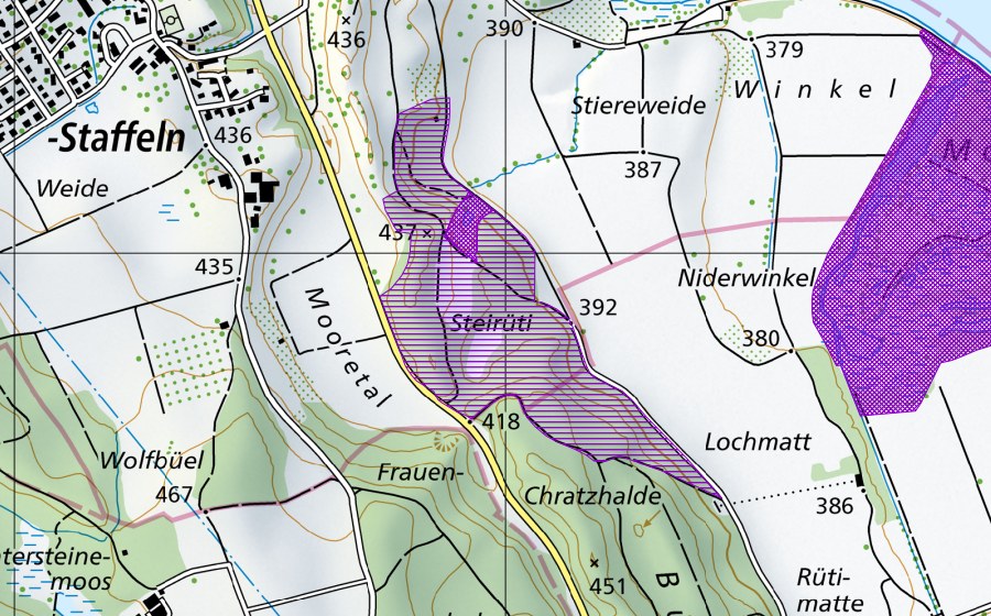 swisstopo national map showing the protected perimeter of Steinrüti (Amphibian spawning site)