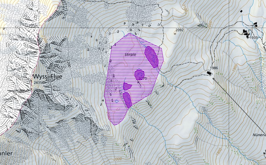 swisstopo national map showing the protected perimeter of Stirple (Amphibian spawning site)