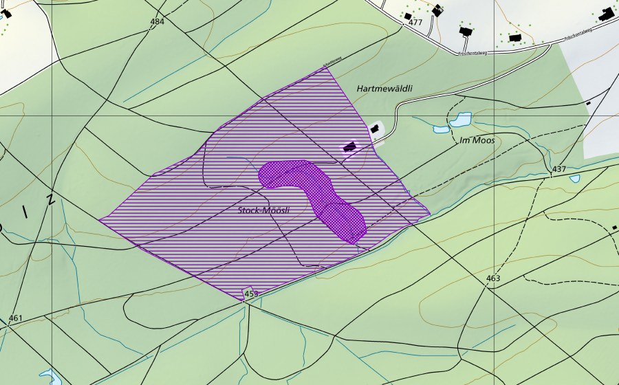 Carte nationale swisstopo avec le périmètre protégé de Stockmösli (Site de reproduction de batraciens)