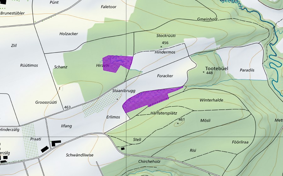 Landeskarte swisstopo mit dem Schutzperimeter von Stockrüti (Amphibienlaichgebiet)