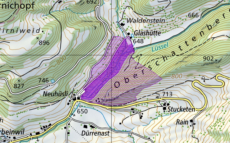 Landeskarte swisstopo mit dem Schutzperimeter von Sumpfwiese Neuhüsli (Amphibienlaichgebiet)