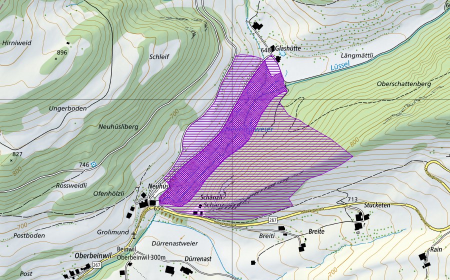 Carte nationale swisstopo avec le périmètre protégé de Sumpfwiese Neuhüsli (Site de reproduction de batraciens)