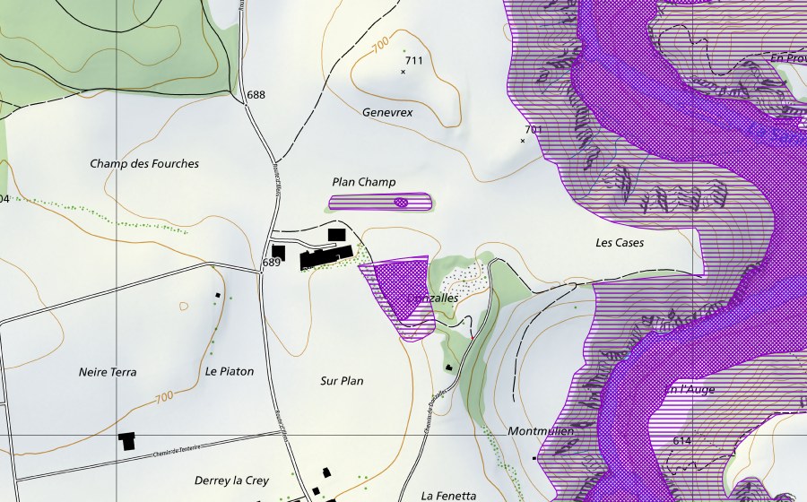 Landeskarte swisstopo mit dem Schutzperimeter von Sur Plan, Les Cases (Amphibienlaichgebiet)