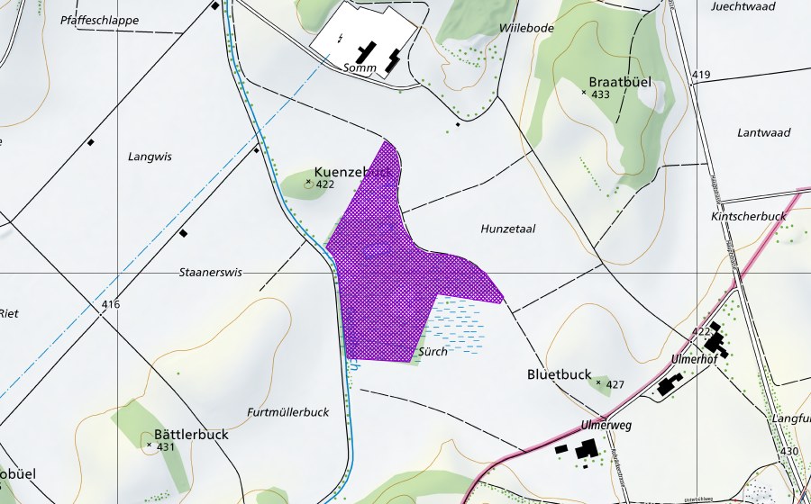 Landeskarte swisstopo mit dem Schutzperimeter von Sürch (Amphibienlaichgebiet)