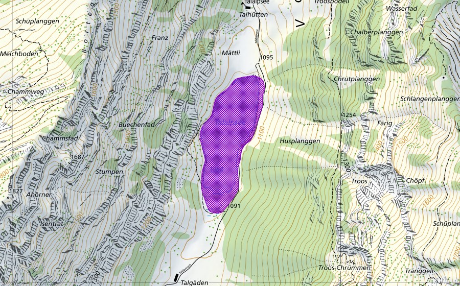 Landeskarte swisstopo mit dem Schutzperimeter von Talsee (Amphibienlaichgebiet)