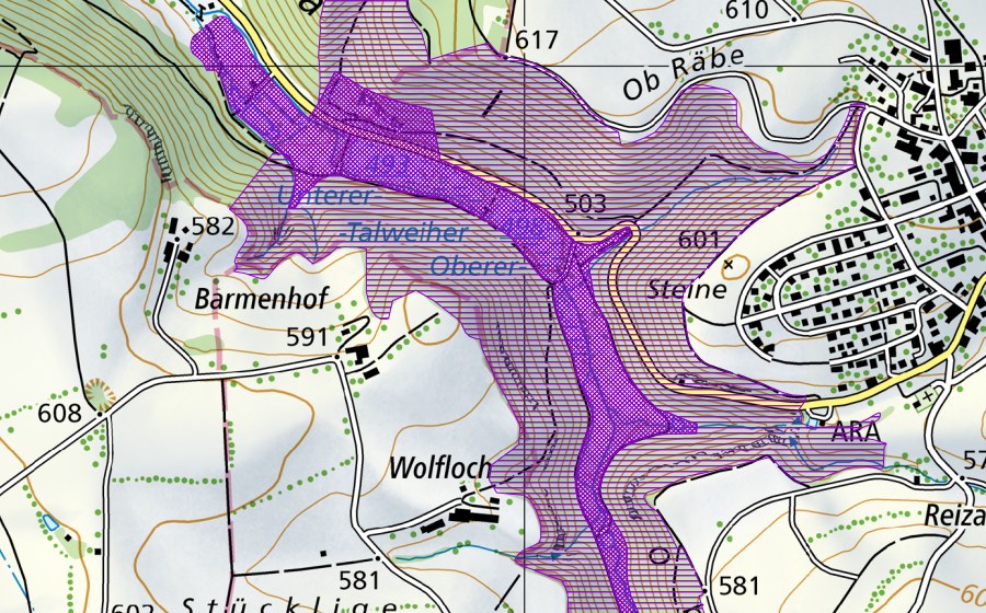 Landeskarte swisstopo mit dem Schutzperimeter von Talweiher (Amphibienlaichgebiet)