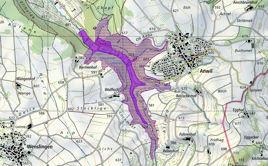 Landeskarte swisstopo mit dem Schutzperimeter von Talweiher (Amphibienlaichgebiet)