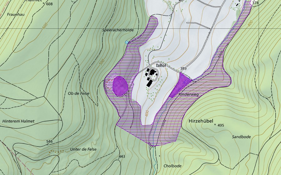 swisstopo national map showing the protected perimeter of Talweiher (Amphibian spawning site)