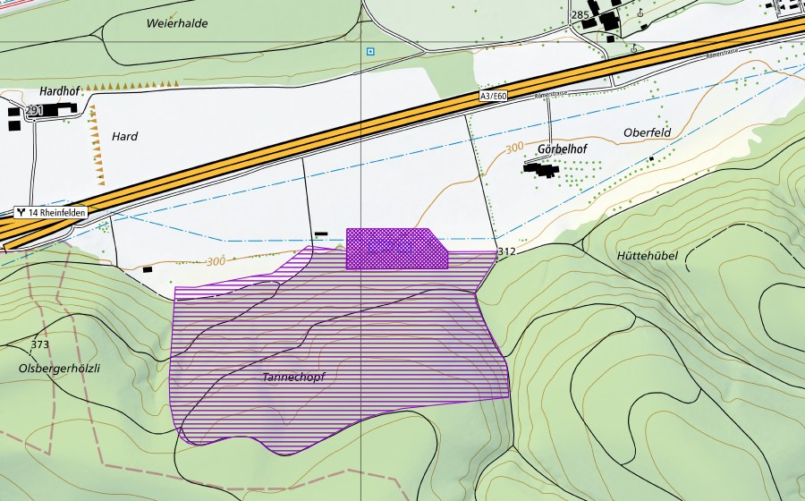 swisstopo national map showing the protected perimeter of Tannenchopf (Amphibian spawning site)