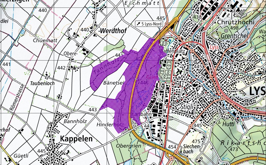 Carte nationale swisstopo avec le périmètre protégé de Tannholz-Chatzestiel-Sibirie (Site de reproduction de batraciens)