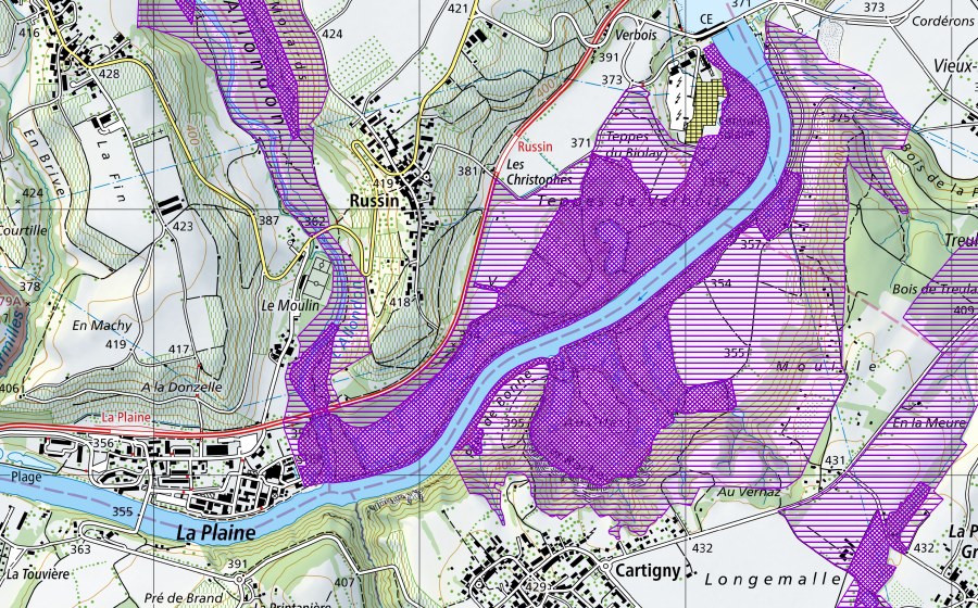 Landeskarte swisstopo mit dem Schutzperimeter von Teppes de Verbois (Amphibienlaichgebiet)
