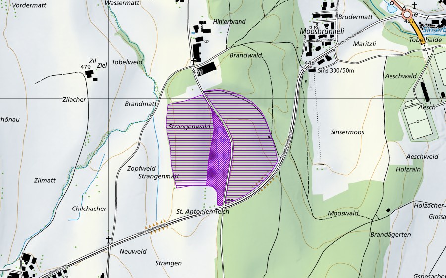 Landeskarte swisstopo mit dem Schutzperimeter von Töniweiher (Amphibienlaichgebiet)