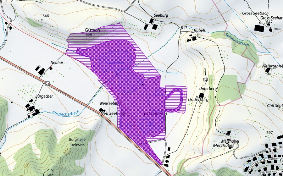 Carte nationale swisstopo avec le périmètre protégé de Tuetenseeli (Site de reproduction de batraciens)