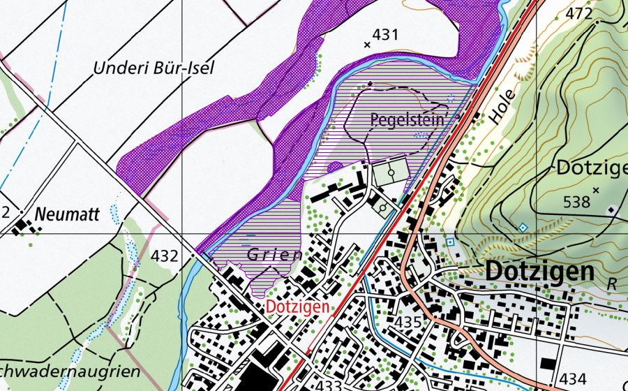 Landeskarte swisstopo mit dem Schutzperimeter von Tümpel b. Schulhaus (Amphibienlaichgebiet)
