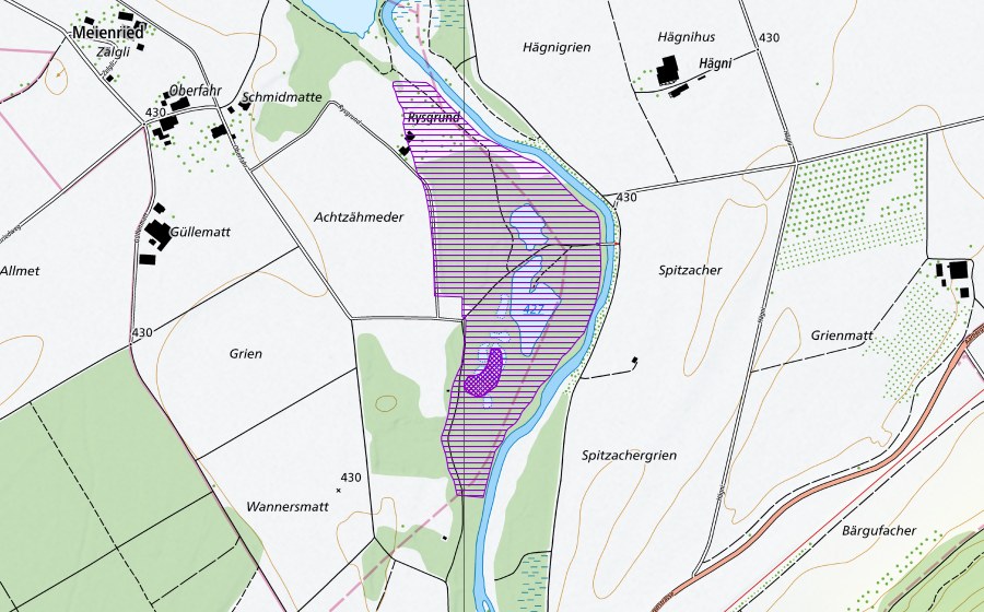 Carte nationale swisstopo avec le périmètre protégé de Tümpel bei Alter Aare Meienried (Site de reproduction de batraciens)
