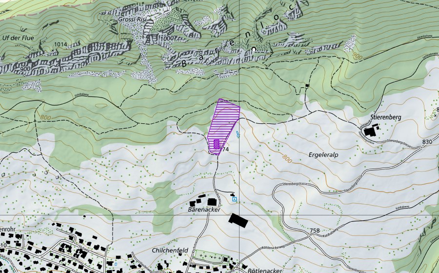 Landeskarte swisstopo mit dem Schutzperimeter von Tümpel Stierenberg (Amphibienlaichgebiet)