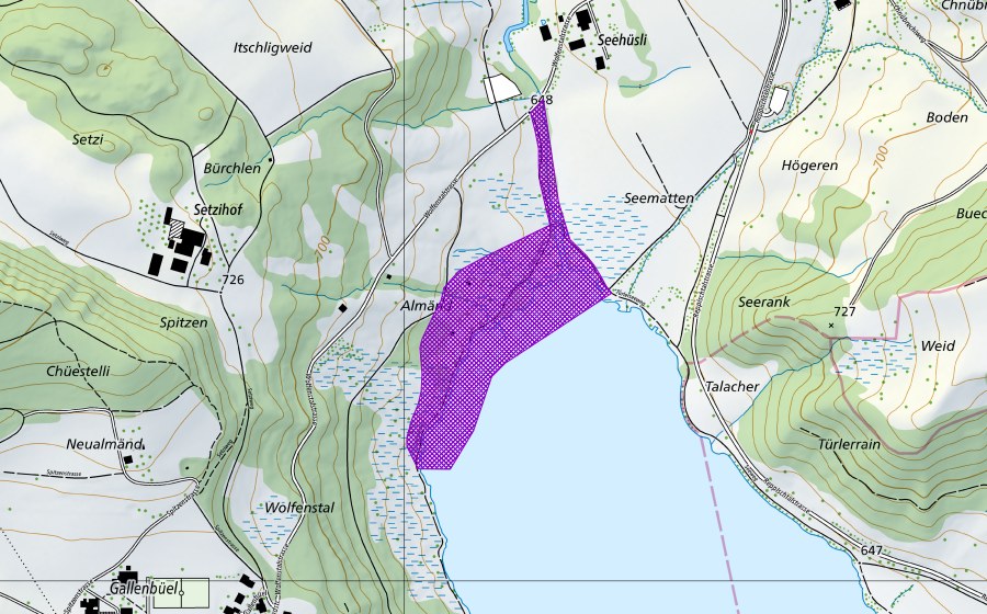 swisstopo national map showing the protected perimeter of Türlersee NW-Ufer (Amphibian spawning site)