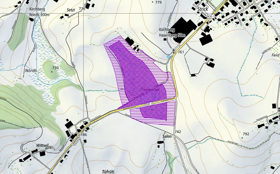 Carte nationale swisstopo avec le périmètre protégé de Turpenriet (Site de reproduction de batraciens)