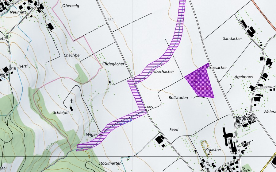 Landeskarte swisstopo mit dem Schutzperimeter von Unterzelg (Amphibienlaichgebiet)