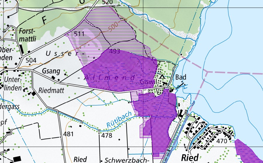 swisstopo national map showing the protected perimeter of Usser Allmend (Amphibian spawning site)