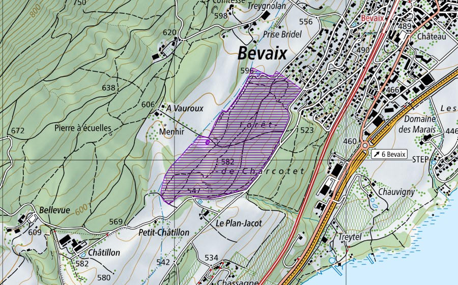 Carte nationale swisstopo avec le périmètre protégé de Vauroux (Site de reproduction de batraciens)