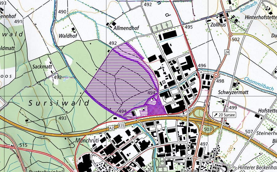 Landeskarte swisstopo mit dem Schutzperimeter von Venedig (Amphibienlaichgebiet)