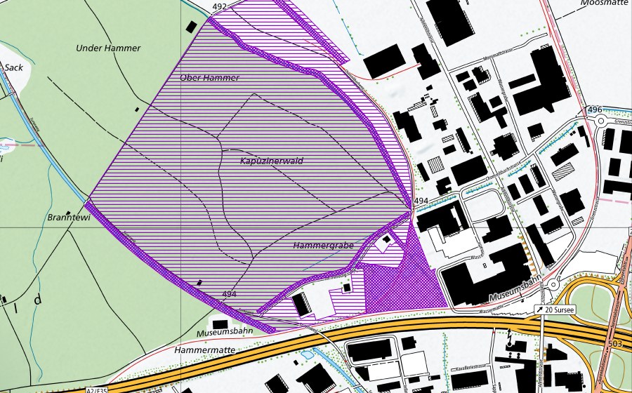 Landeskarte swisstopo mit dem Schutzperimeter von Venedig (Amphibienlaichgebiet)