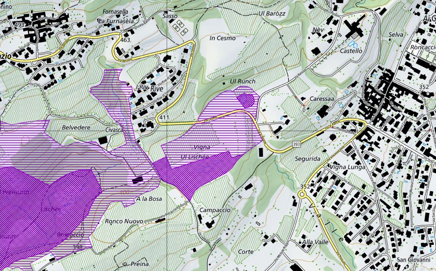 Landeskarte swisstopo mit dem Schutzperimeter von Vigna (Amphibienlaichgebiet)