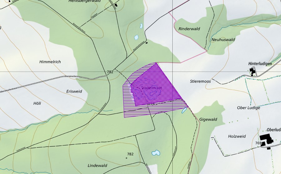 Landeskarte swisstopo mit dem Schutzperimeter von Vogelmoos (Amphibienlaichgebiet)