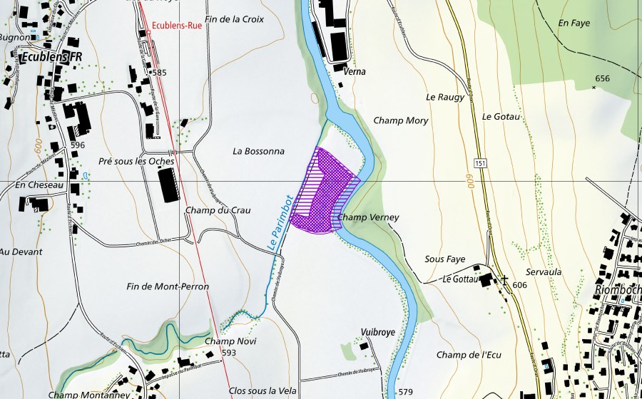 Landeskarte swisstopo mit dem Schutzperimeter von Vuibroye (Amphibienlaichgebiet)