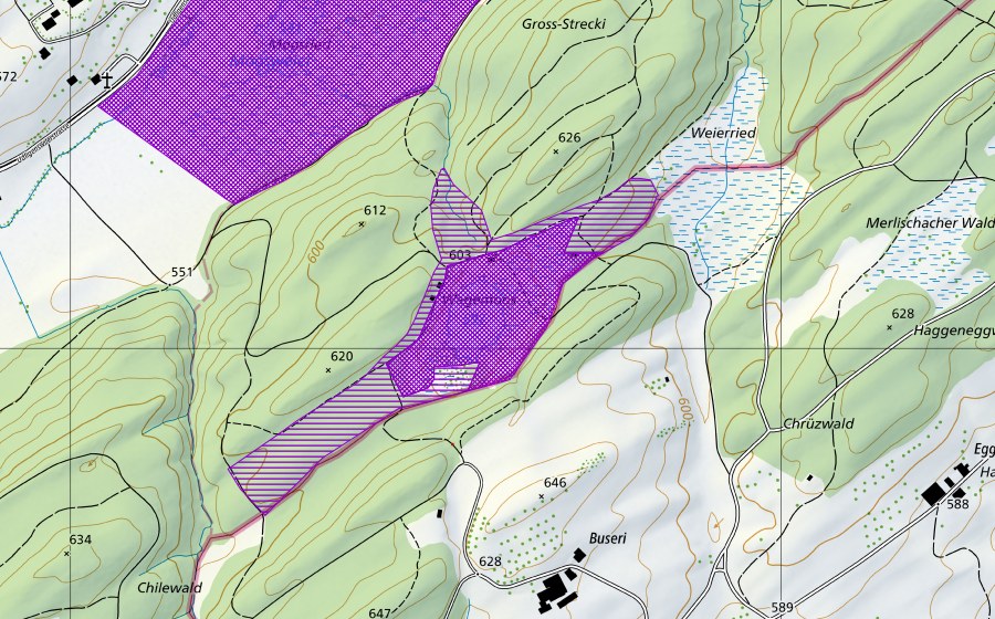 Carte nationale swisstopo avec le périmètre protégé de Wagenmoos (Site de reproduction de batraciens)