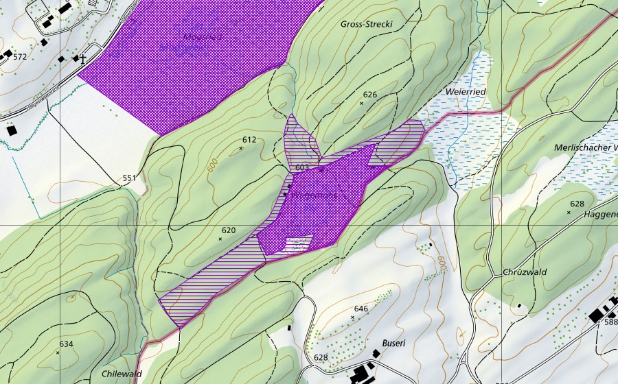 swisstopo national map showing the protected perimeter of Wagenmoos (Amphibian spawning site)