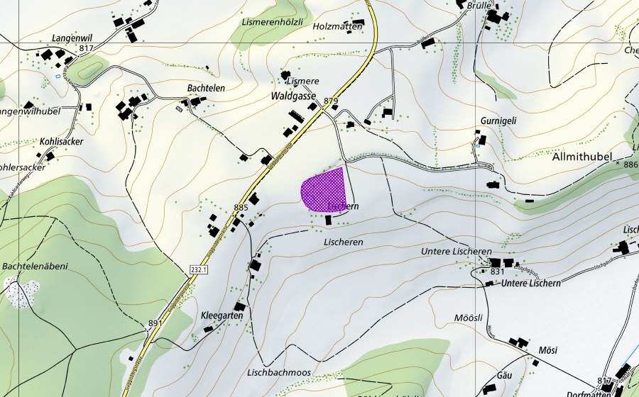Landeskarte swisstopo mit dem Schutzperimeter von Waldgass-Grube (Amphibienlaichgebiet)