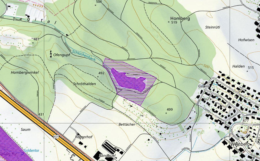 Landeskarte swisstopo mit dem Schutzperimeter von Waldried Homberg (Amphibienlaichgebiet)