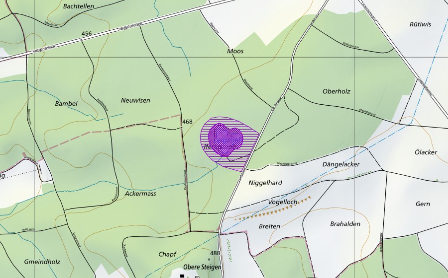 Carta nazionale swisstopo con il perimetro protetto di Waldweiher im Oberholz/Iffertsmoos (Sito di riproduzione di anfibi)