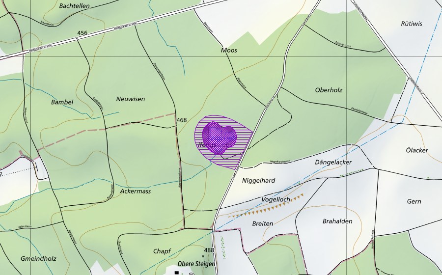 Landeskarte swisstopo mit dem Schutzperimeter von Waldweiher im Oberholz/Iffertsmoos (Amphibienlaichgebiet)