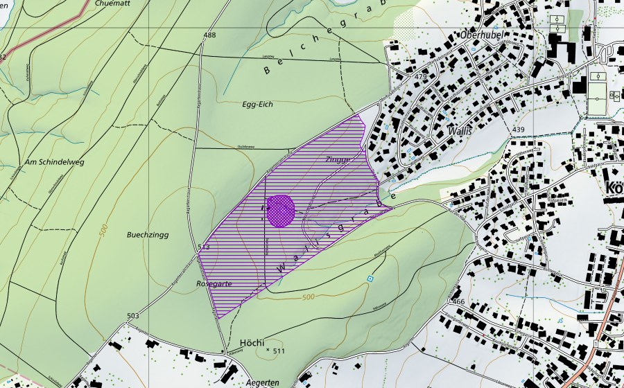 Carta nazionale swisstopo con il perimetro protetto di Walisgraben (Sito di riproduzione di anfibi)