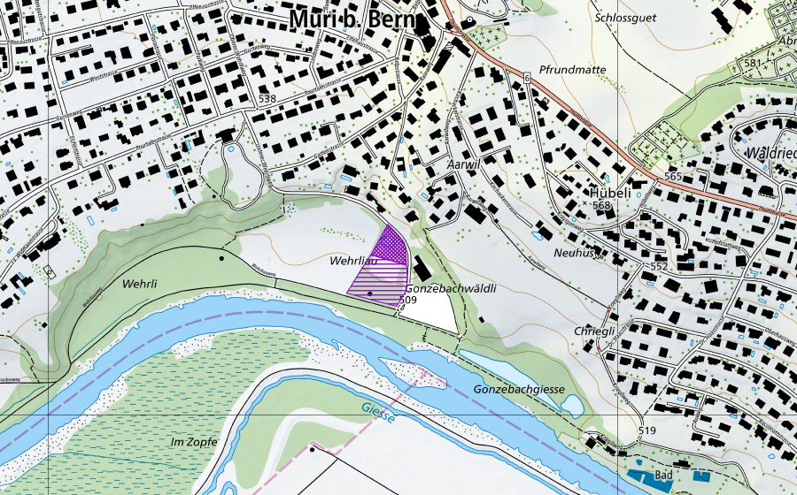 Landeskarte swisstopo mit dem Schutzperimeter von Wehrliau Muribadparkplatz (Amphibienlaichgebiet)