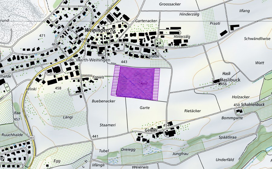 Landeskarte swisstopo mit dem Schutzperimeter von Weierwies (Amphibienlaichgebiet)