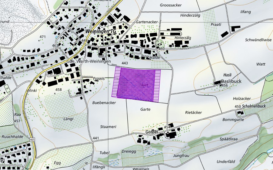 swisstopo national map showing the protected perimeter of Weierwies (Amphibian spawning site)