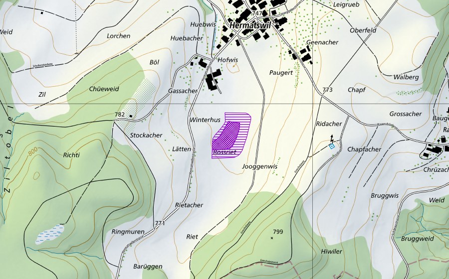 Landeskarte swisstopo mit dem Schutzperimeter von Weiher bei Hermatswil (Amphibienlaichgebiet)